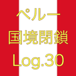 【感染者ついに1万人/新たなチャーター機のお知らせ】ペルー国境閉鎖【足止め Log.30】