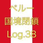 【店員さんはゴーグル・手袋・マスクを着用】ペルー国境閉鎖【足止めLog.38】
