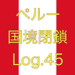 【なぜ増加が止まらない？その原因は…】ペルー国境閉鎖【足止め Log.45】