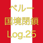 【感染者数ついに5000人】ペルー国境閉鎖【足止めLog.25】