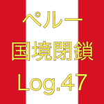 【外出自粛中におすすめな作品！】ペルー国境閉鎖【足止め Log.47】