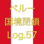 【NY行きのチャーター便が出るみたいです】ペルー国境閉鎖【足止め Log.57】