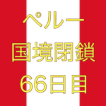 【大使館より！メキシコ行きチャーター機のお知らせ】ペルー国境閉鎖【足止め 66日目】