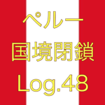 【家で少しでもディズニー気分を…】ペルー国境閉鎖【足止め Log.48】